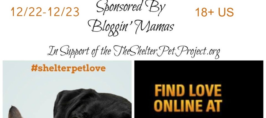 Giveaway- $100 Giftcard in support of Shelter Pets