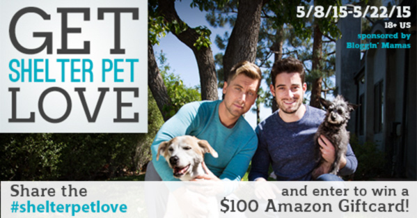 Show a Shelter Pet some Love and You Could Win a $100 Giftcard